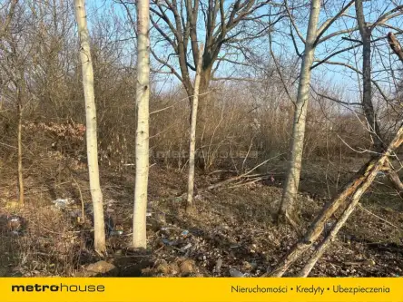 Jabłonna ,  Modlińska   3