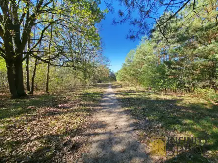 Warszawa ,  Ogórkowa   6