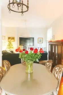 Warszawa ,  Okólnik   4