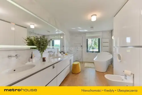 Mała nieszawka ,  Piaskowa   11