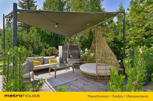 Mała nieszawka ,  Piaskowa   18