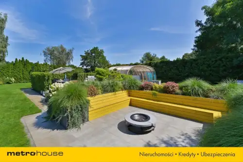 Mała nieszawka ,  Piaskowa   19