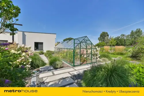 Mała nieszawka ,  Piaskowa   20