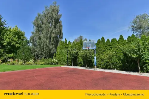 Mała nieszawka ,  Piaskowa   21