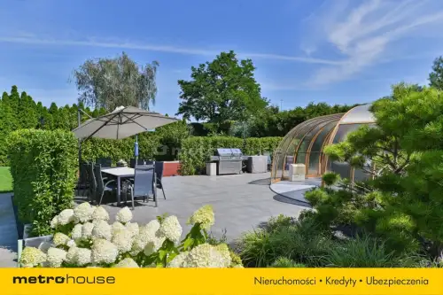 Mała nieszawka ,  Piaskowa   24