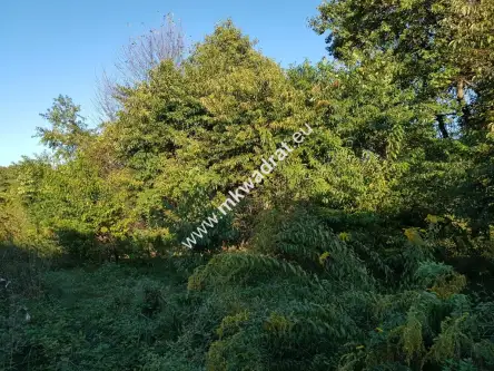 Milanówek ,  www.mkwadrat.eu   6