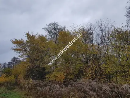 Milanówek ,  www.mkwadrat.eu   4