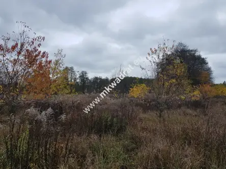 Milanówek ,  www.mkwadrat.eu   5