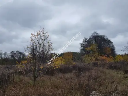 Milanówek ,  www.mkwadrat.eu   7