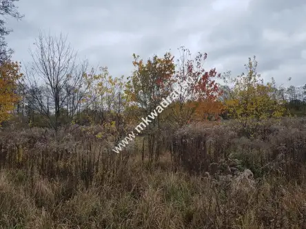 Milanówek ,  www.mkwadrat.eu   8