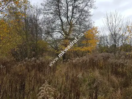 Milanówek ,  www.mkwadrat.eu   9