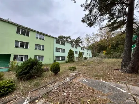 Jastrzębia Góra   3