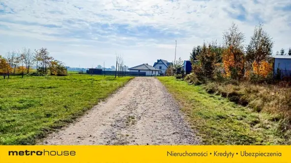 Nieżywięć ,  Spokojna   13