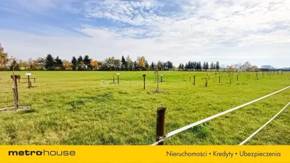 Nieżywięć ,  Spokojna   4