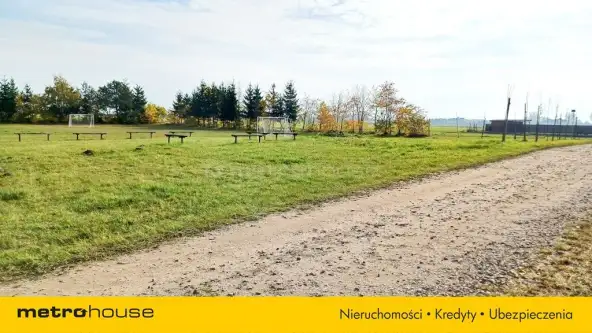 Nieżywięć ,  Spokojna   5