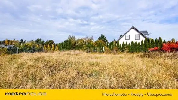 Nieżywięć ,  Spokojna   6