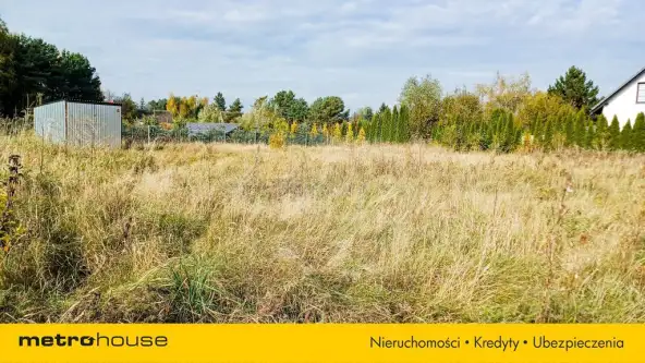 Nieżywięć ,  Spokojna   7