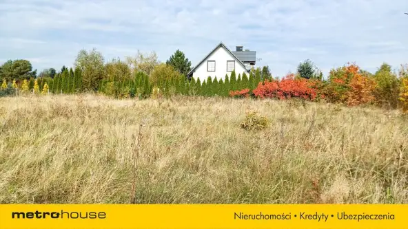 Nieżywięć ,  Spokojna   9