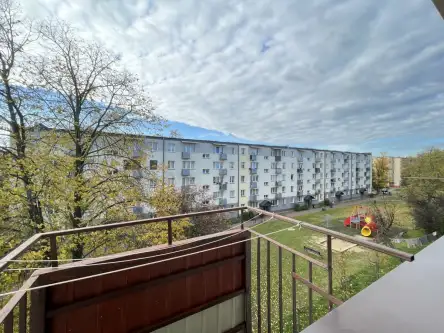 Radom ,  1905 Roku   17