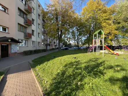 Radom ,  1905 Roku   3