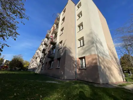 Radom ,  1905 Roku   4