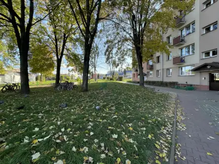 Radom ,  1905 Roku   5