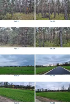 Międzyrzecz ,  Konstytucji 3 Maja   5