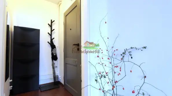 Głogów ,  Wita Stwosza   11