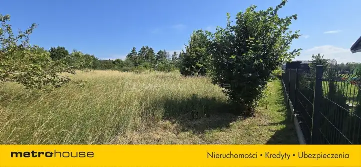 Smolno ,  Błękitna   2