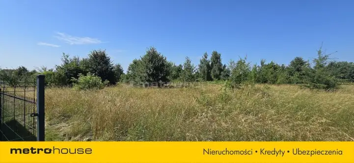 Smolno ,  Błękitna   3