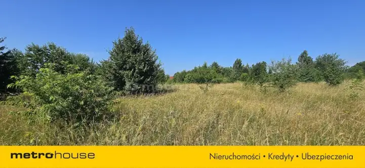 Smolno ,  Błękitna   4