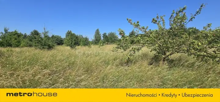 Smolno ,  Błękitna   5