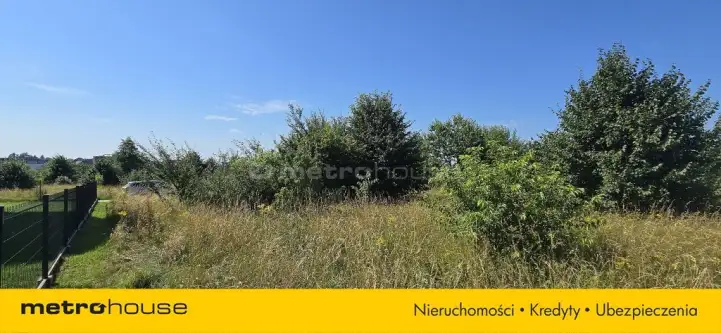 Smolno ,  Błękitna   6