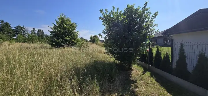 Smolno ,  Błękitna   7