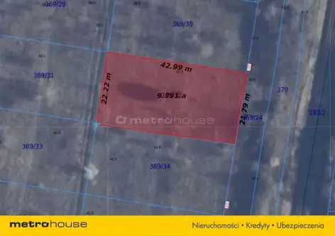 Smolno ,  Błękitna   8