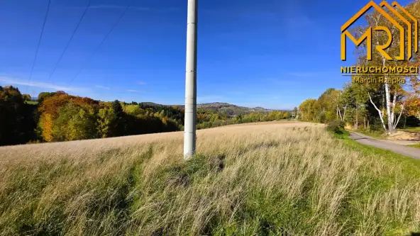 Piaski-drużków   10