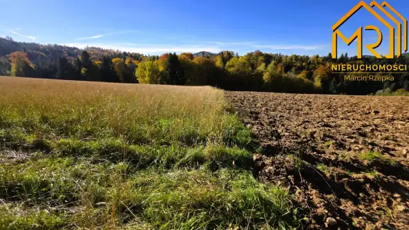 Piaski-drużków   11