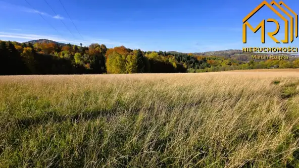 Piaski-drużków   12