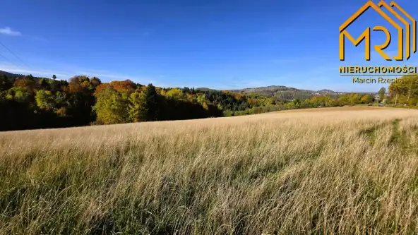 Piaski-drużków   13