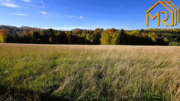 Piaski-drużków   14