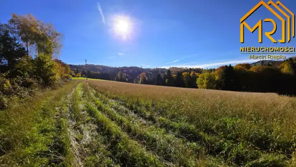 Piaski-drużków   15