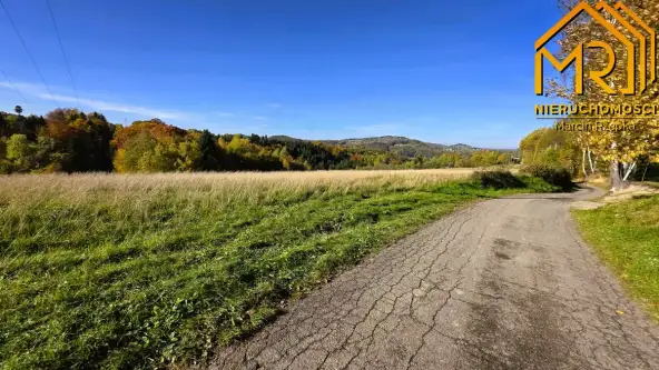 Piaski-drużków   16