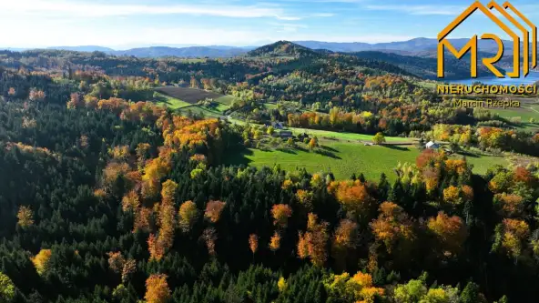 Piaski-drużków   19