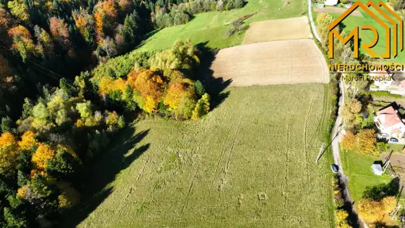 Piaski-drużków   3