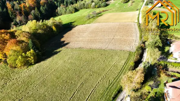 Piaski-drużków   4