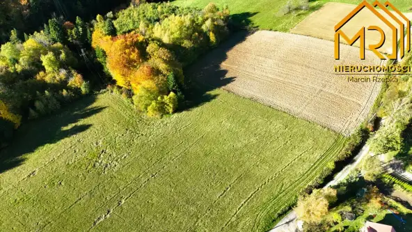 Piaski-drużków   5