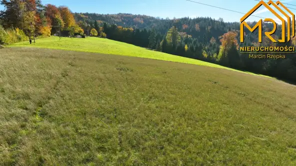 Piaski-drużków   6