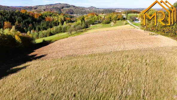 Piaski-drużków   7