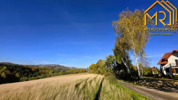 Piaski-drużków   9