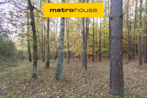  Gwda wielka   Szczecinecka 